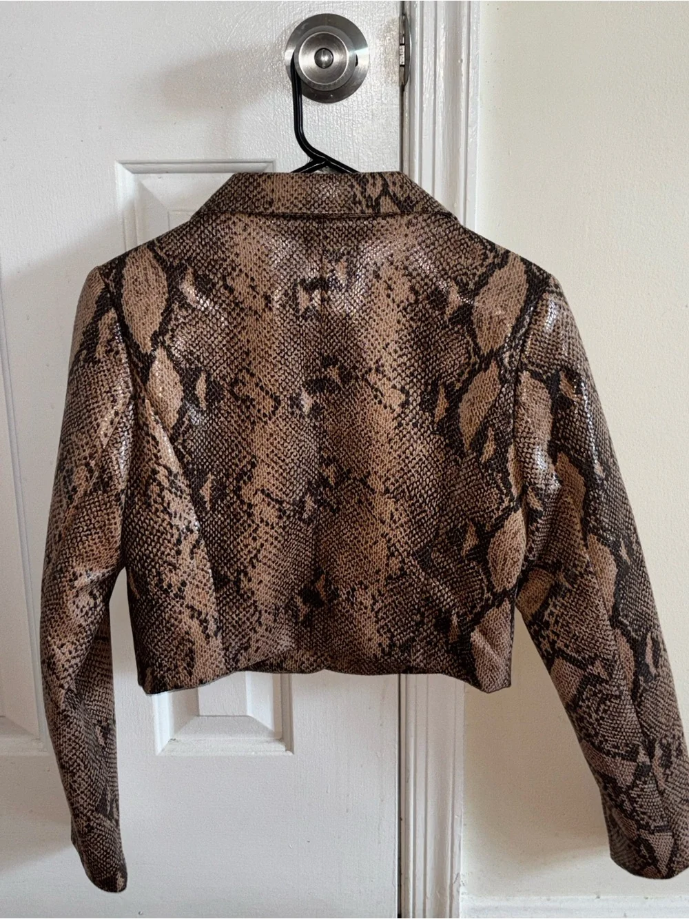 Cropped Snake-Print Blazer in Brown